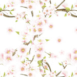 Close-up of Sakura Wallpaper featuring delicate pink cherry blossoms with green leaves on a white background, capturing the essence of spring.