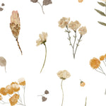 A close-up view of the Buttercup Fields Wallpaper pattern featuring detailed illustrations of buttercup flowers, delicate seed heads, and slender leaves in shades of yellow and gray on a crisp white backdrop, evoking a fresh springtime feel.