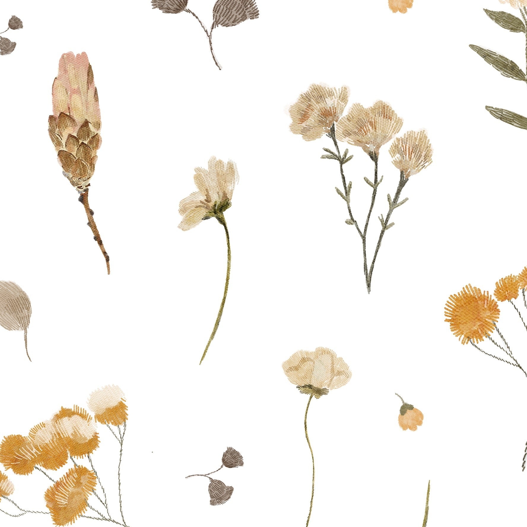 A close-up view of the Buttercup Fields Wallpaper pattern featuring detailed illustrations of buttercup flowers, delicate seed heads, and slender leaves in shades of yellow and gray on a crisp white backdrop, evoking a fresh springtime feel.