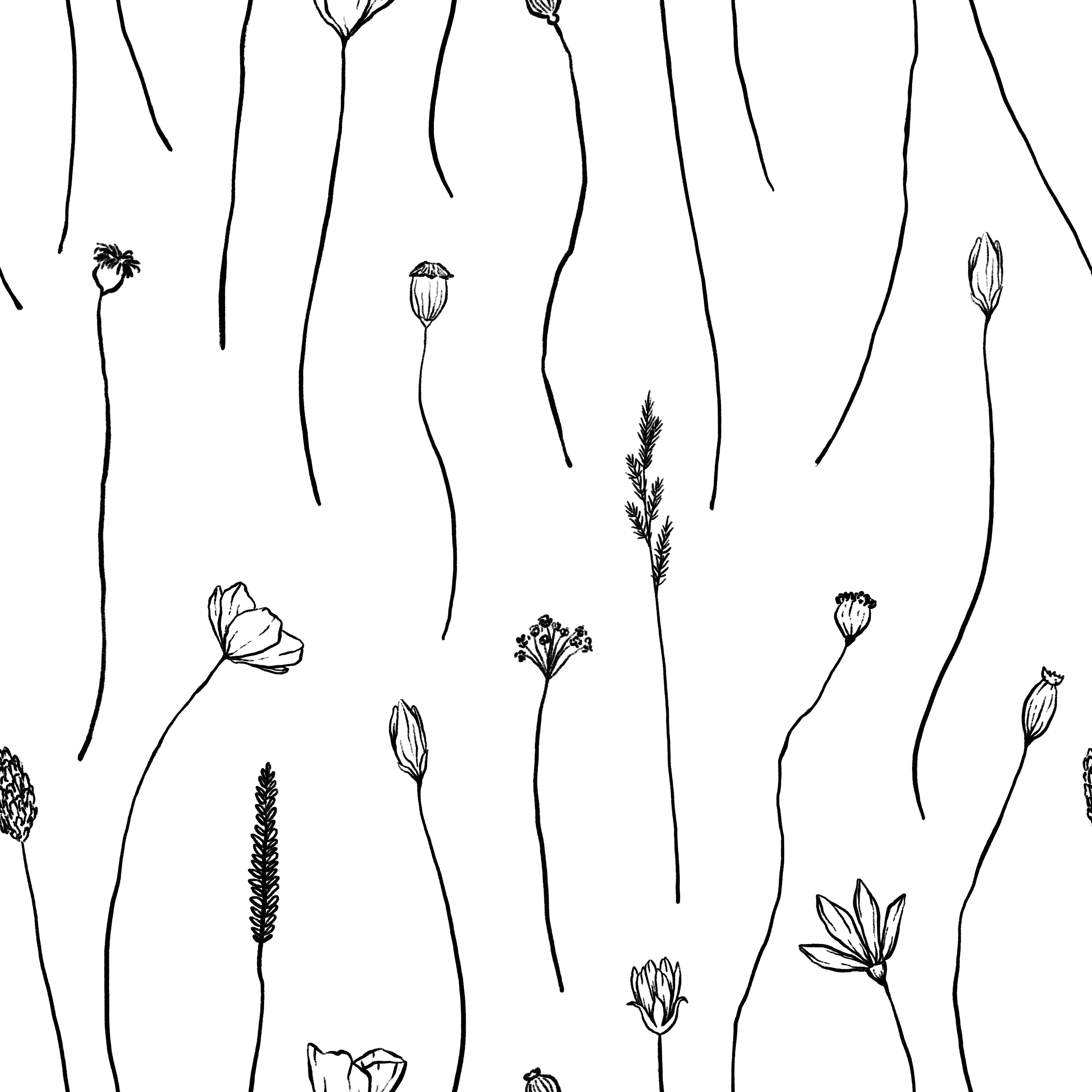 Close-up view of the 'Wildflower Sketch Wallpaper,' showcasing its delicate line art depicting various wildflowers. The simple yet sophisticated black sketches on a white background provide a serene and artistic backdrop, ideal for enhancing any living space.