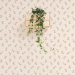 A stylish interior setting featuring Chara Wallpaper, characterized by its subtle floral pattern in pink and green on a peach backdrop. A wooden shelf hangs on the wall, adorned with a trailing green plant that adds a natural element to the space, enhancing the room’s serene atmosphere.