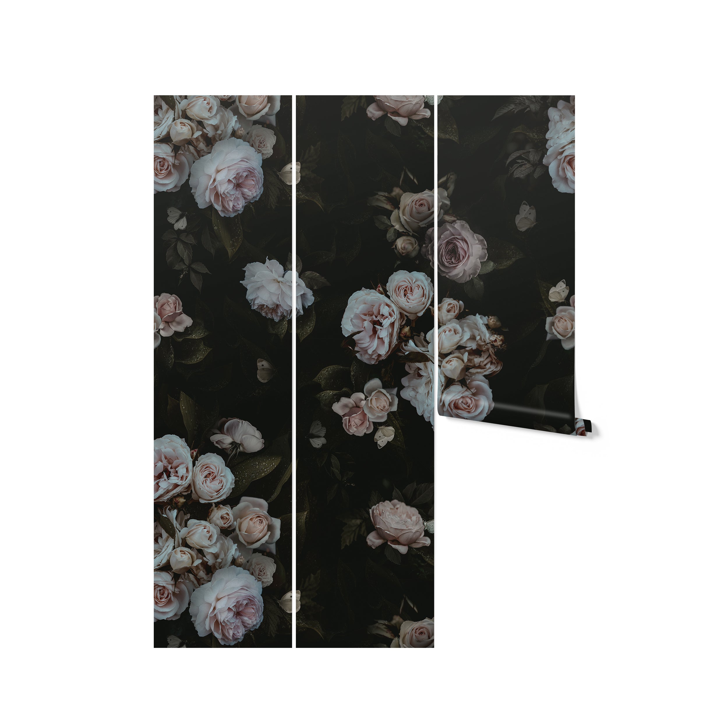 A roll of the Dark Rose Wallpaper - 75" partially unrolled, with the intricate roses and dark leaves unfurling against a stark black background, ready to add a touch of elegant drama to any interior space.