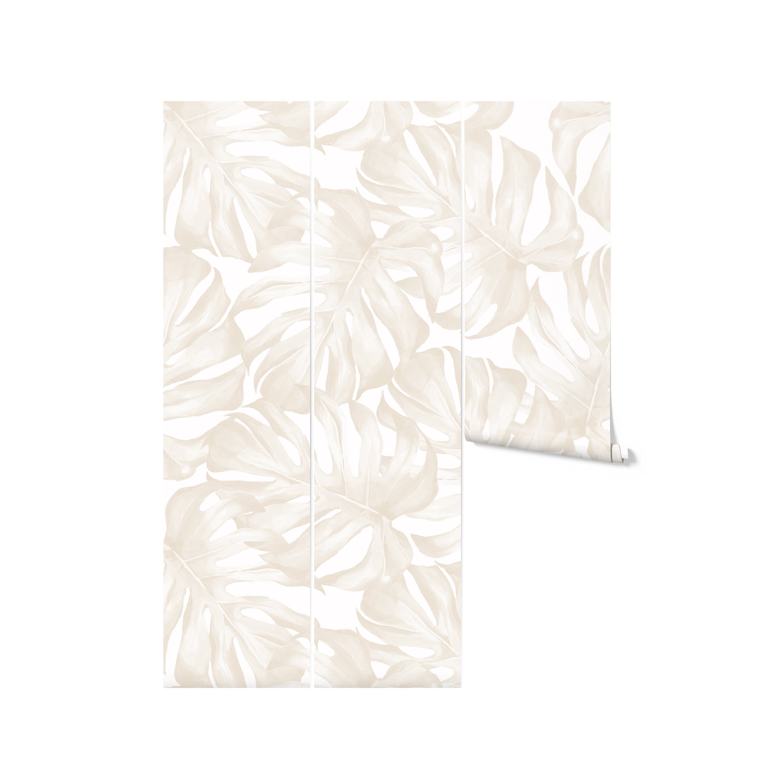 Roll of Modern Oasis Wallpaper - Ecru displaying the elegant pattern of large monstera leaves in soft ecru tones. The minimalist design is perfect for creating a modern and tranquil environment in any room