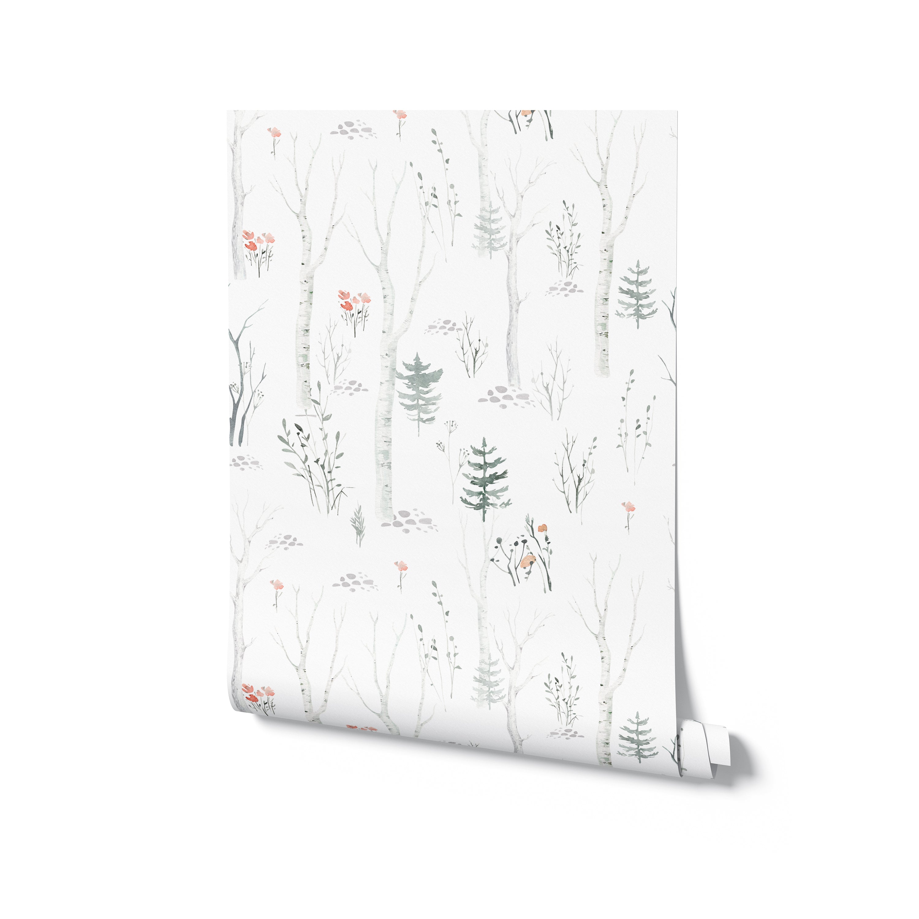 a roll of "Pine and Birch Wallpaper." The roll is partially unrolled to display the wallpaper's full design, highlighting the tranquil forest pattern with elegant birch and pine trees. This image illustrates the wallpaper's potential to transform a space with its peaceful woodland ambiance.