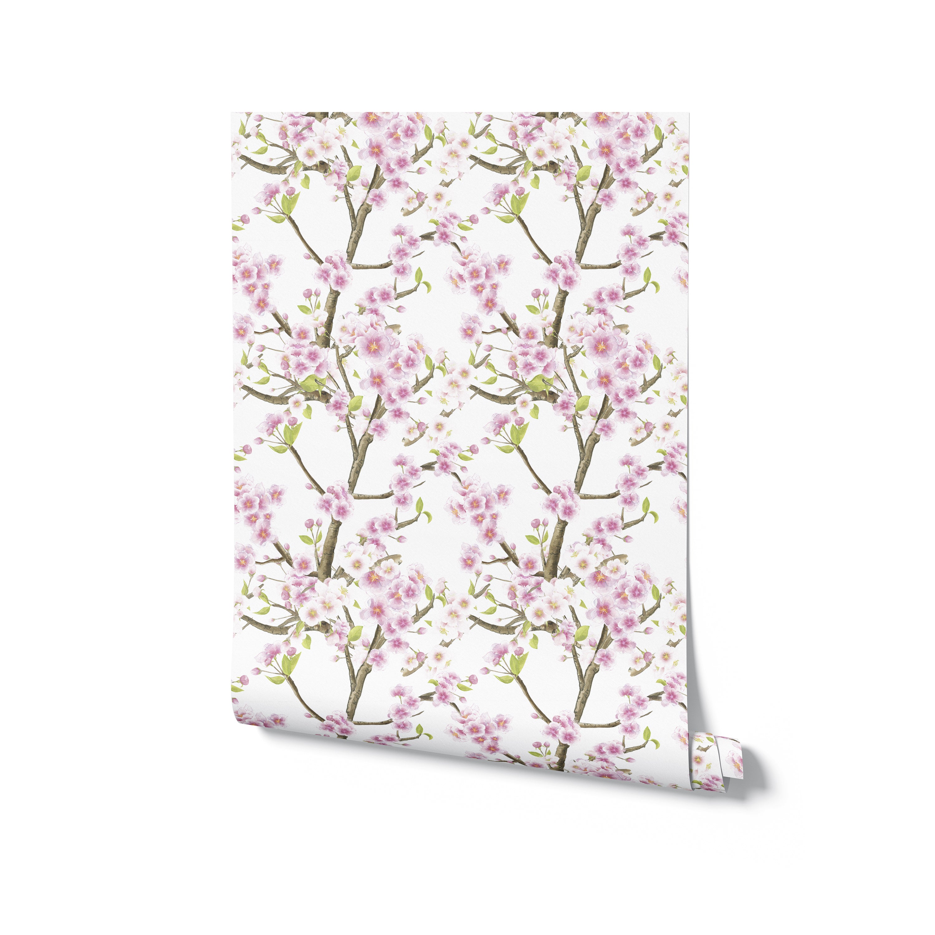 Rolled sample of Sakura Blossom Wallpaper displaying a lush pattern of pink sakura flowers and green foliage on white, perfect for bringing a touch of spring and elegance to any room with its detailed floral design