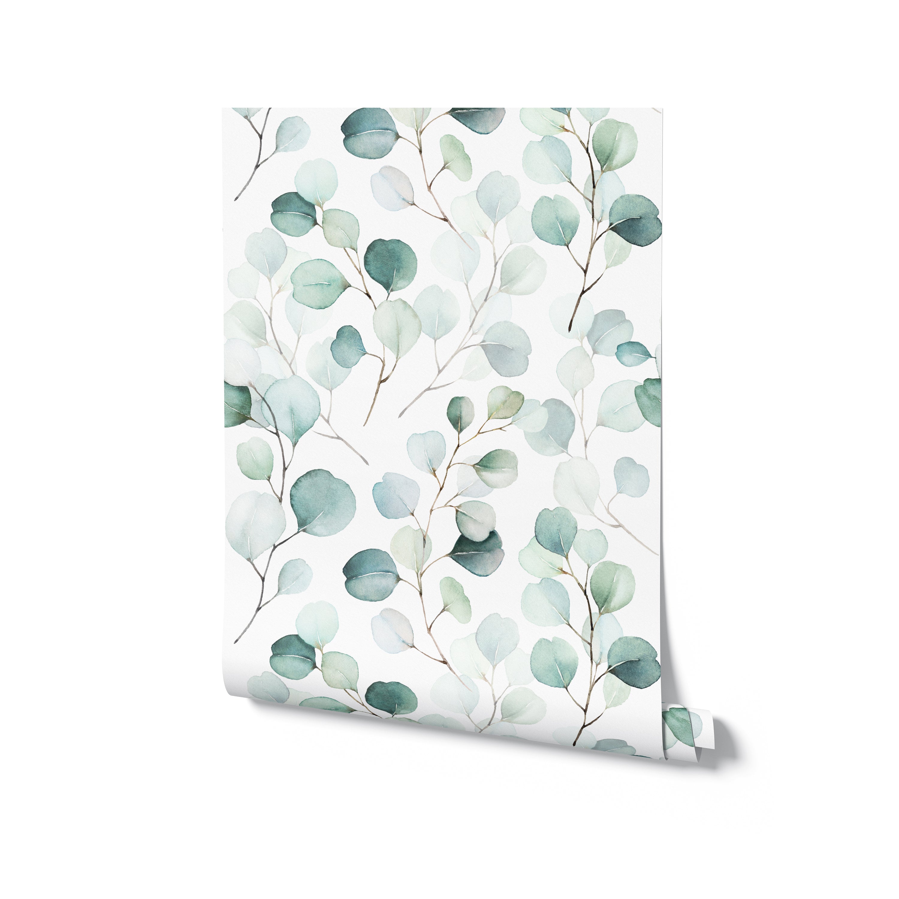 Rolled sample of Eucalyptus Wallpaper II revealing the delicate and artistic rendering of eucalyptus branches and leaves in watercolor style.