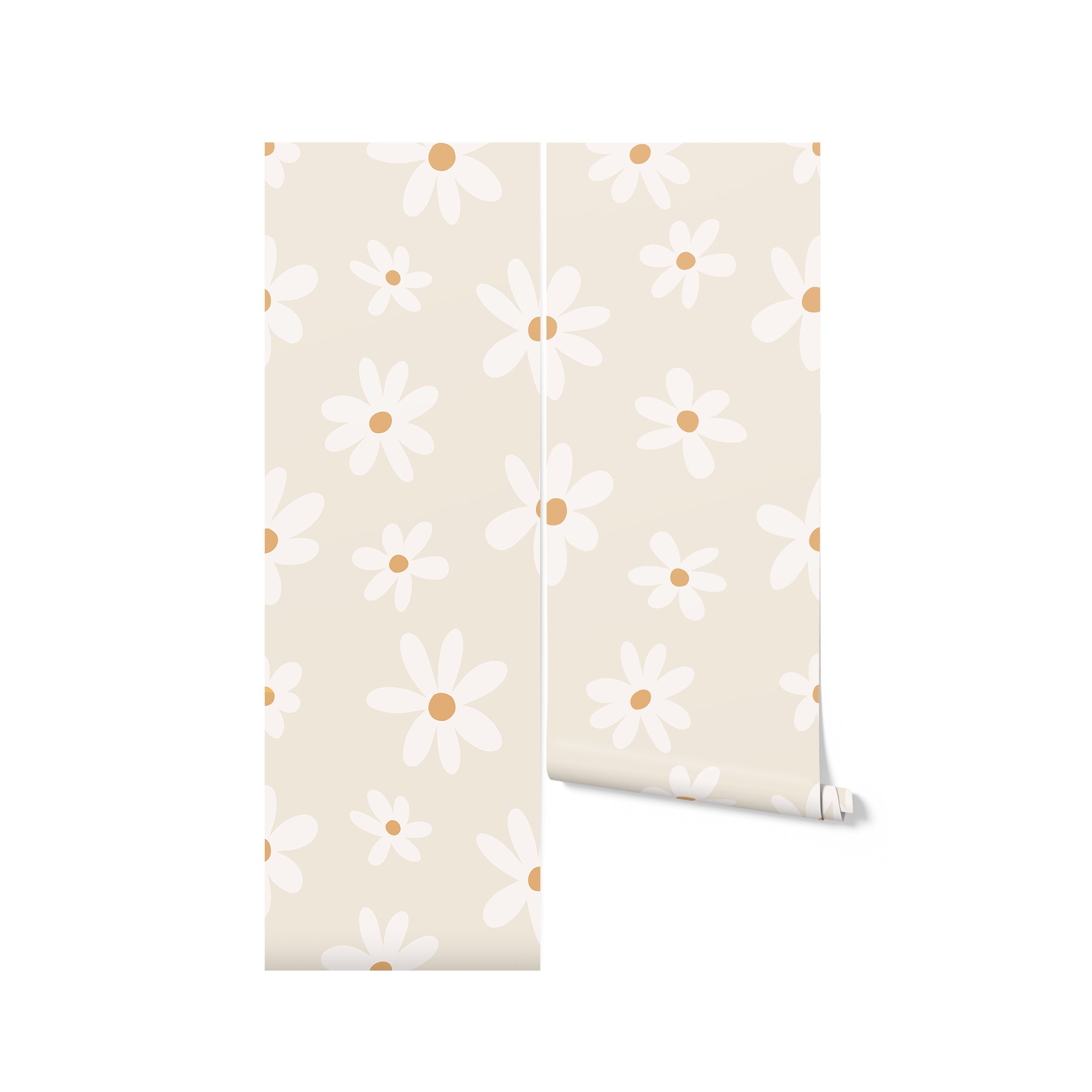 A rolled piece of Simple Daisy Wallpaper showing off the repeating pattern of large, stylized daisies, ready to brighten up any room with its simple yet playful design.