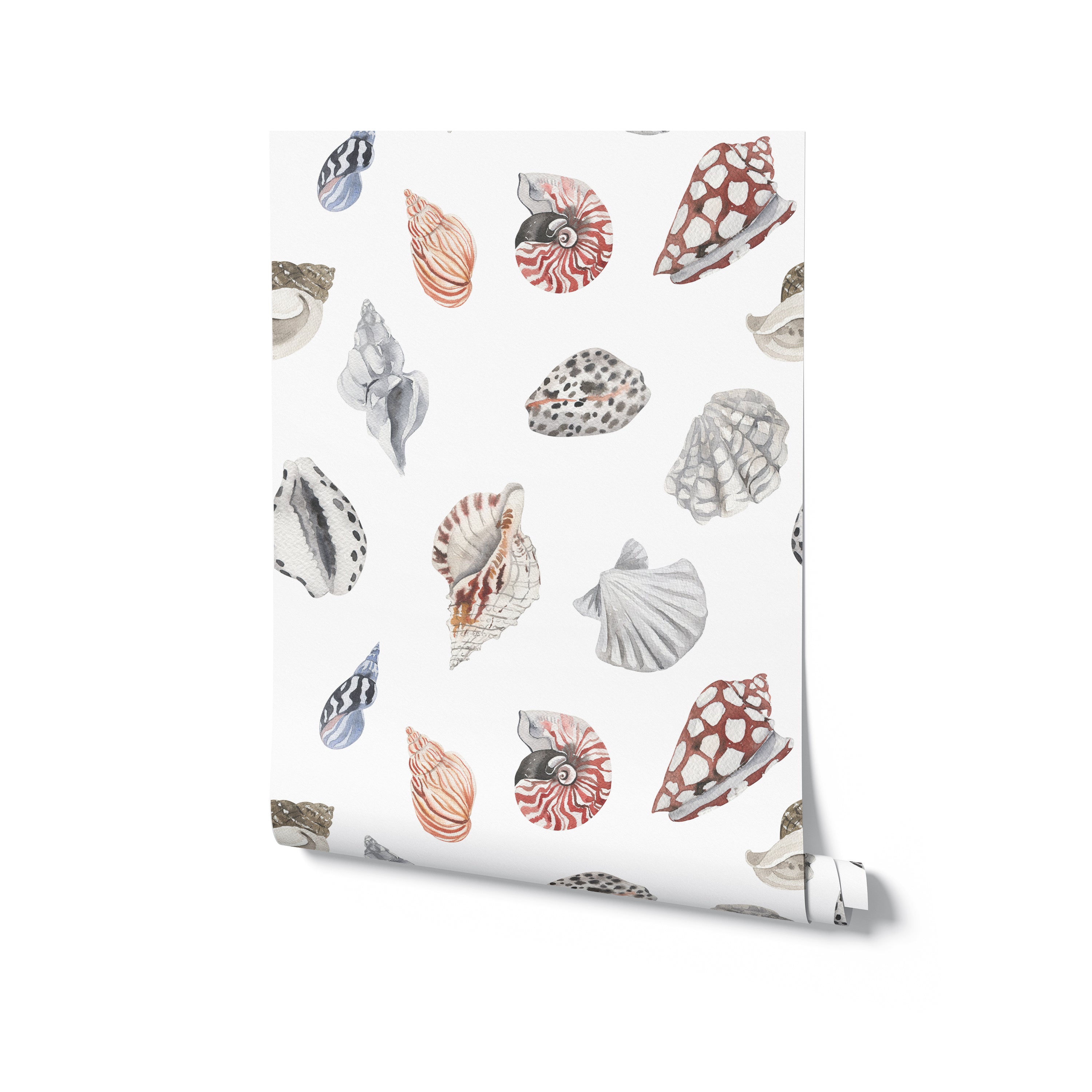 Roll of watercolor seashell wallpaper with varied shell designs in soft colors