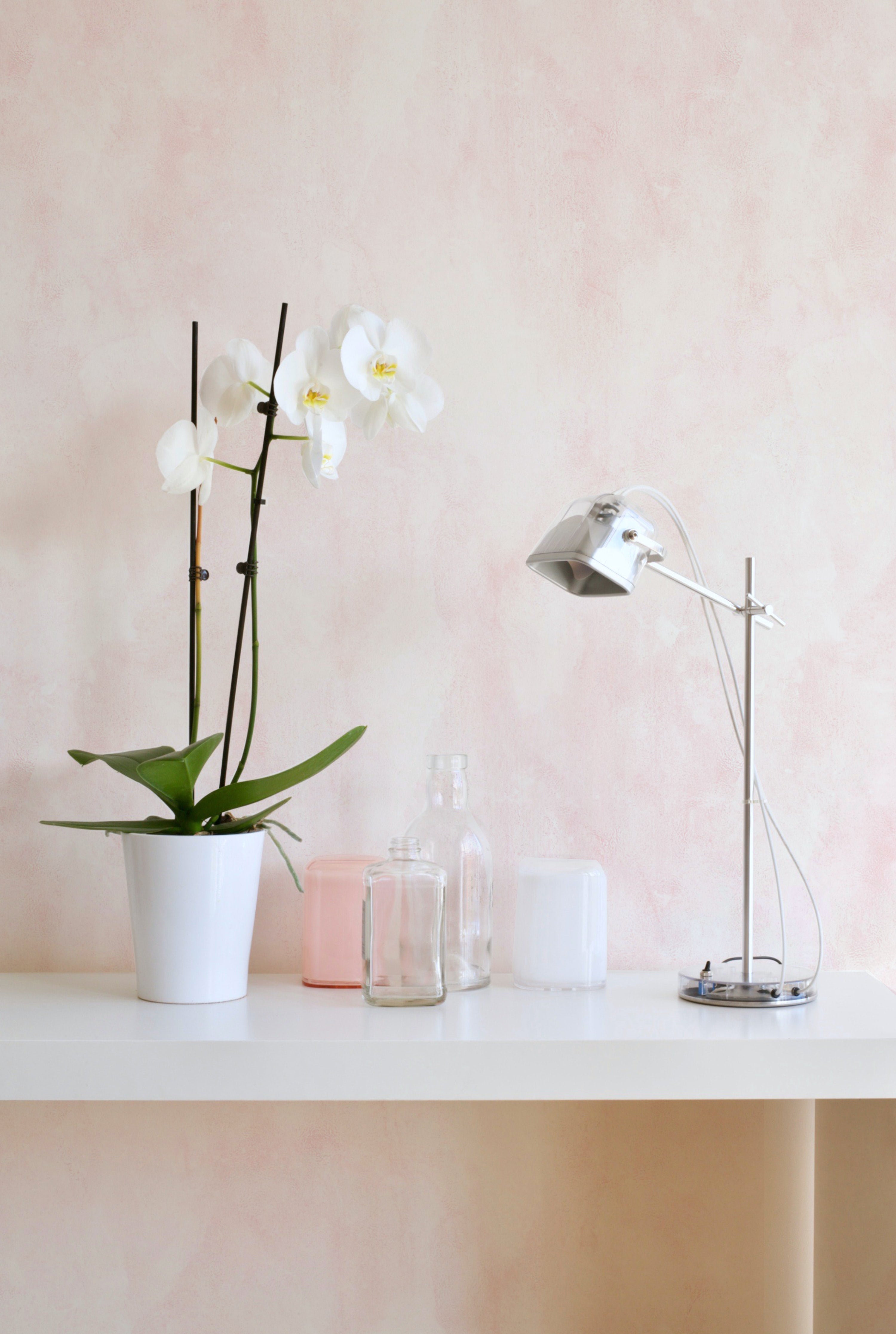 A close-up of a room decorated with Blush Limewash Wallpaper. The soft pink, watercolor-like texture provides a delicate and soothing backdrop, accentuating the simplicity of a white shelf with a potted orchid, glass bottles, and a modern desk lamp.