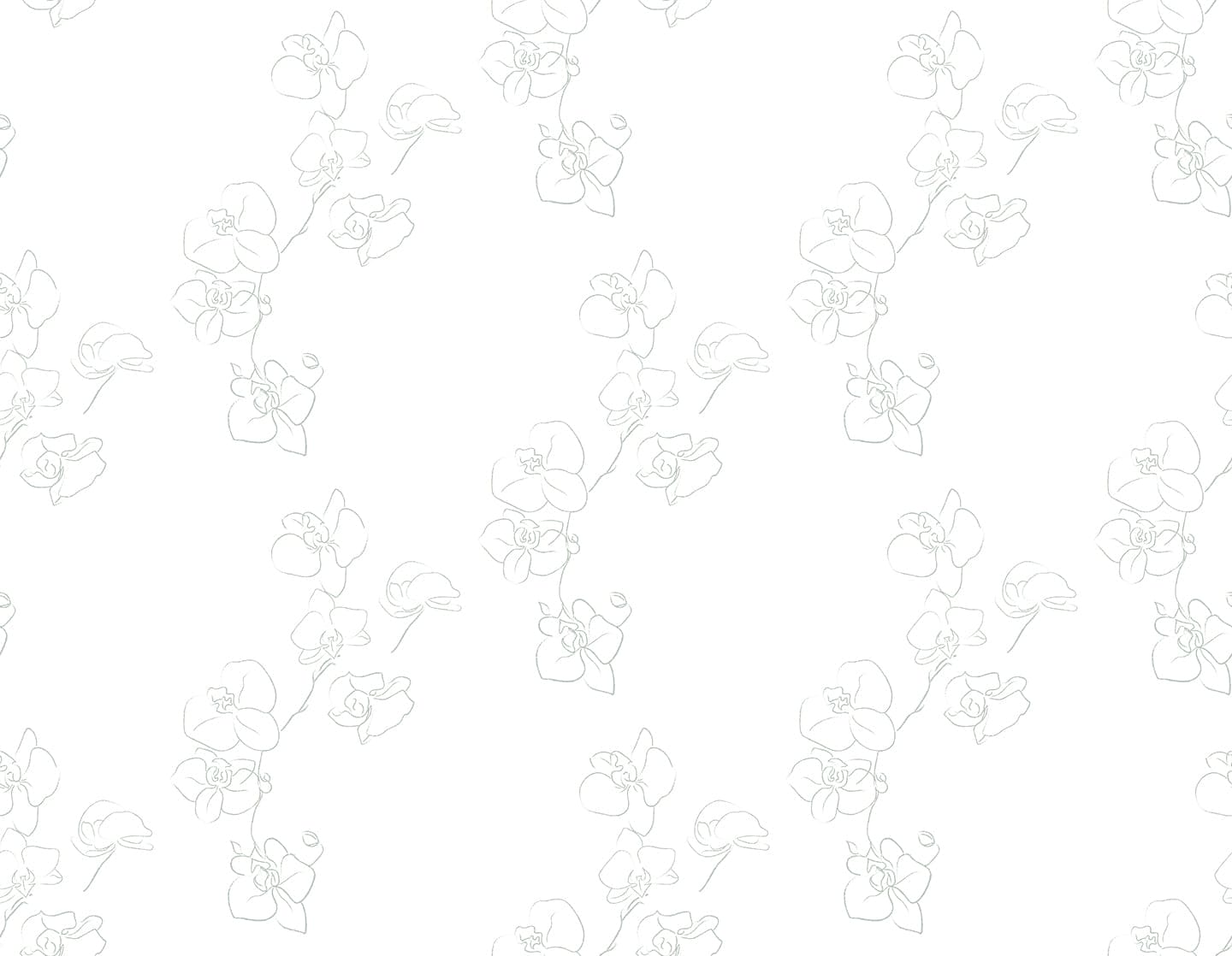 A close-up view of the Floral Line Art Wallpaper featuring delicate hand-drawn flowers and branches in a continuous line style on a clean white background