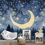 Full wall mural of a starry night sky with a crescent moon and sleeping child in the meadow"