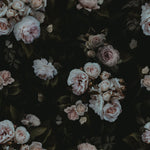 A close-up view of the Dark Rose Wallpaper, showcasing a luxurious array of roses in shades of pink and white, set against a dark, moody background. The flowers are densely packed, creating a rich, textured look that evokes a sense of elegance and depth.