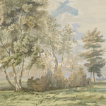Landscape with trees and a path under a cloudy sky