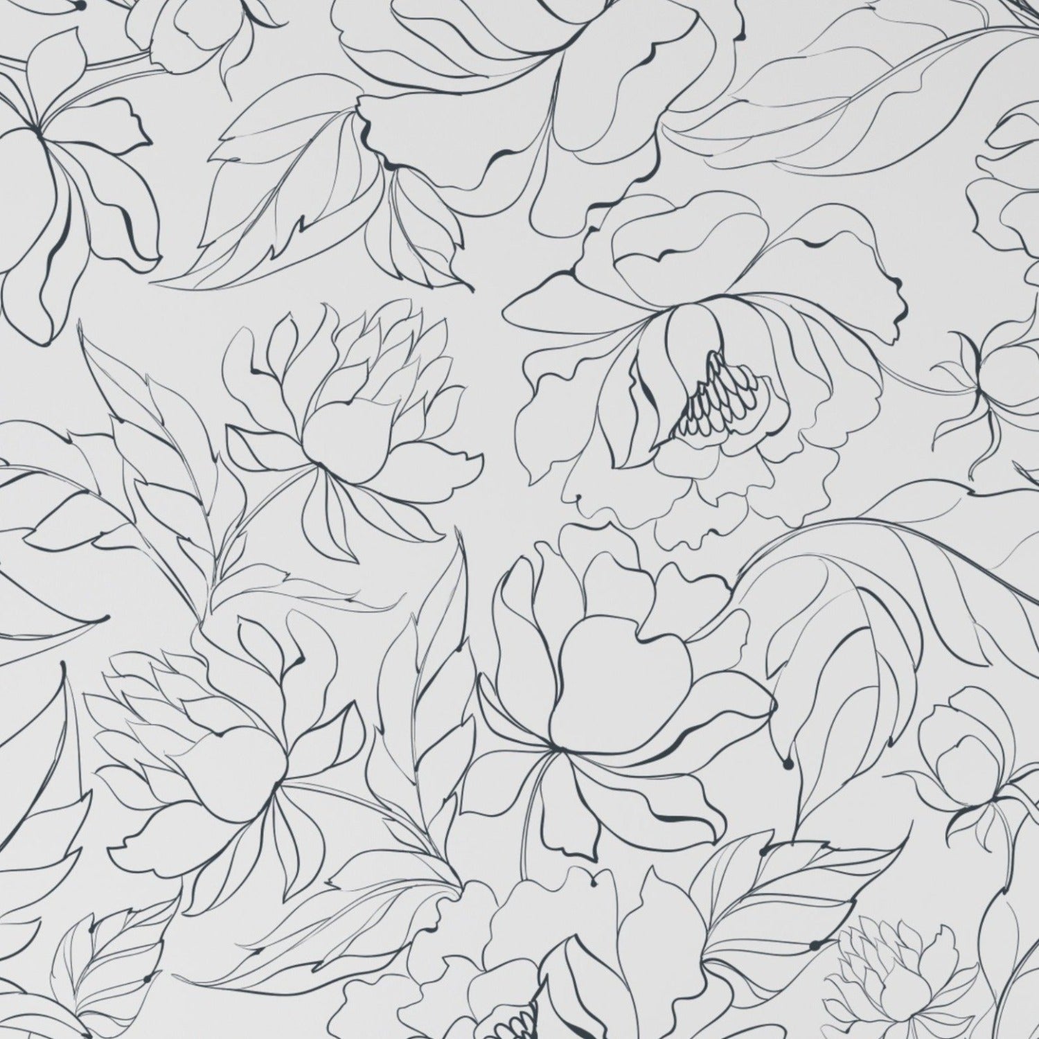 An elegant close-up of the Modern Black Floral Wallpaper featuring large, stylized floral motifs in black outlines on a clean white background, providing a contemporary and striking visual contrast.