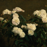 Close-up of Still Life of White Roses (1870) by Henri Fantin-Latour - Detailed view of a vintage art print from Timberlea Interiors. This close-up captures the intricate details of the white roses, showcasing the delicate brushwork and the subtle interplay of light and shadow that brings the flowers to life.