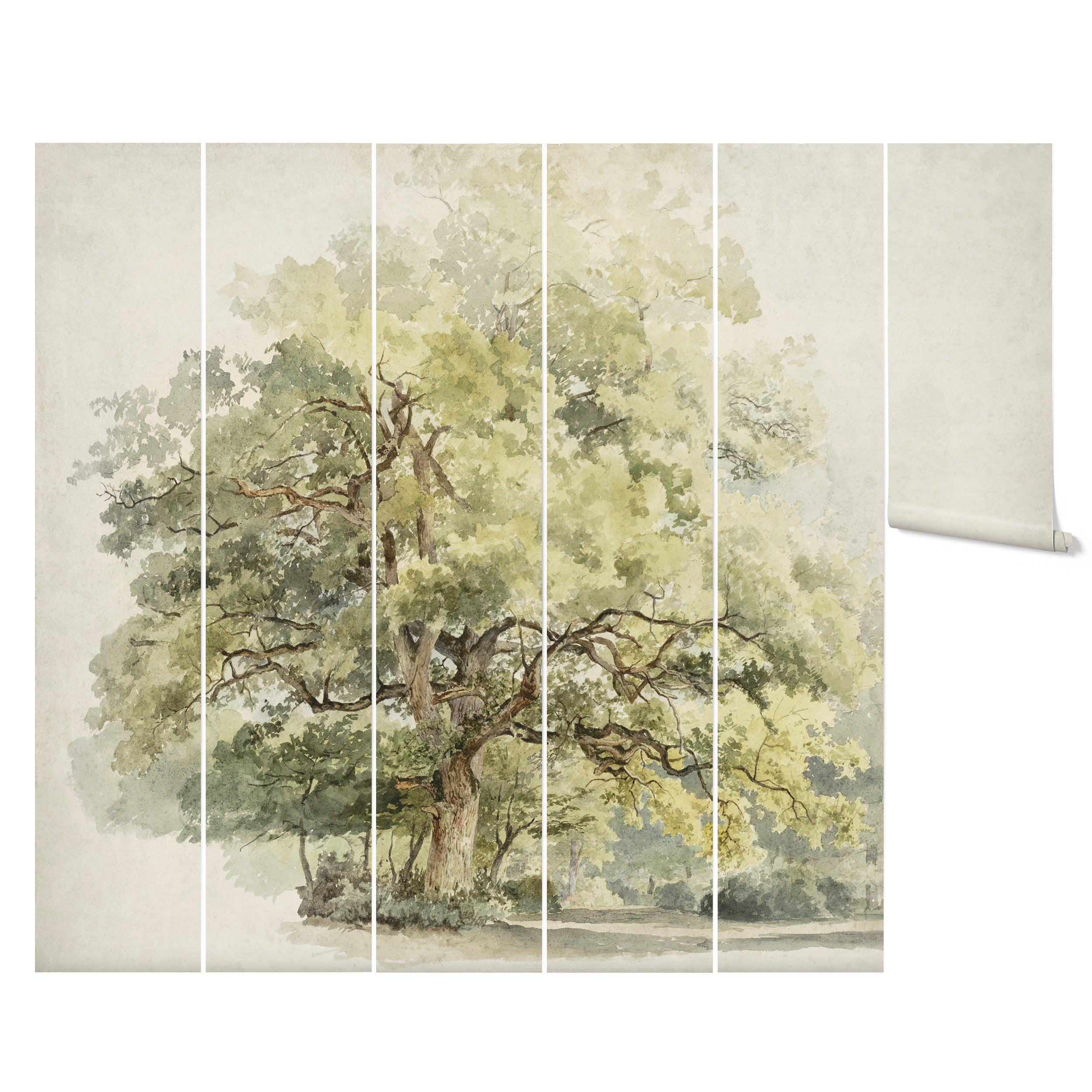 The Boomstudie Vintage Wall Mural displayed across six vertical panels, each featuring segments of a large, detailed tree with a variety of green tones. This segmented presentation highlights the artistic and detailed rendering of the tree, suitable for adding a majestic and historic feel to any room.