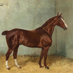 Close-up view of a vintage art print titled 'A Bay Horse with White Blaze in a Stable' (1899) by Julius von Blaas. The image highlights the bay horse with a white blaze on its face, standing in a stable against a green background, with the text 'Timberlea Interiors Vintage Art Print Collection' overlaid.