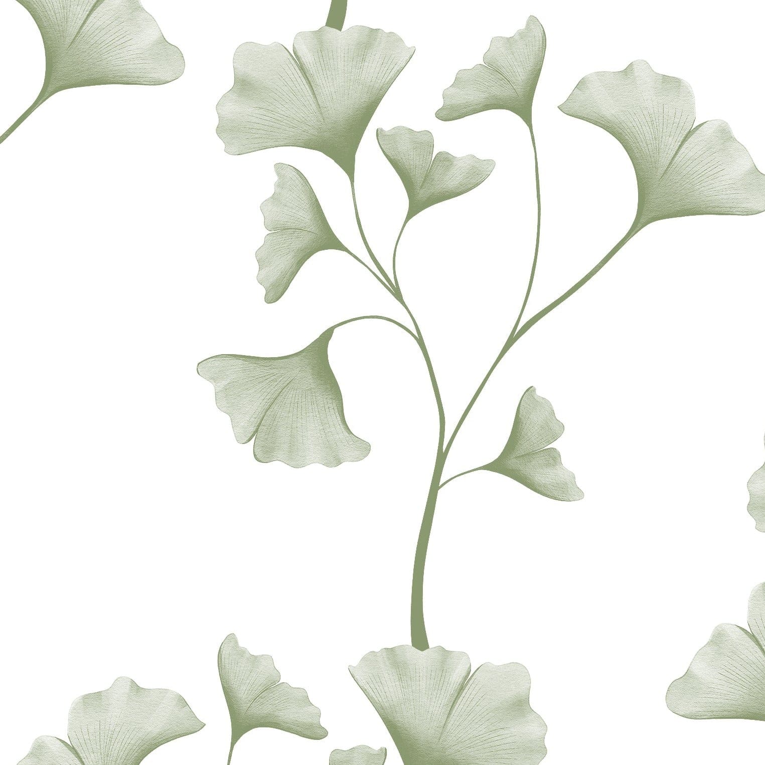A close-up view of the Botanical Vines Wallpaper - 75", featuring a delicate pattern of stylized green ginkgo leaves on a soft white background. The leaves are spaced along thin, wavy vines, creating a gentle, flowing aesthetic that invokes a sense of calm and elegance.