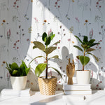 Bright, airy office space decorated with Dainty Botanicals wallpaper. Sunlight illuminates potted plants and books, highlighting the wallpaper's delicate botanical patterns.