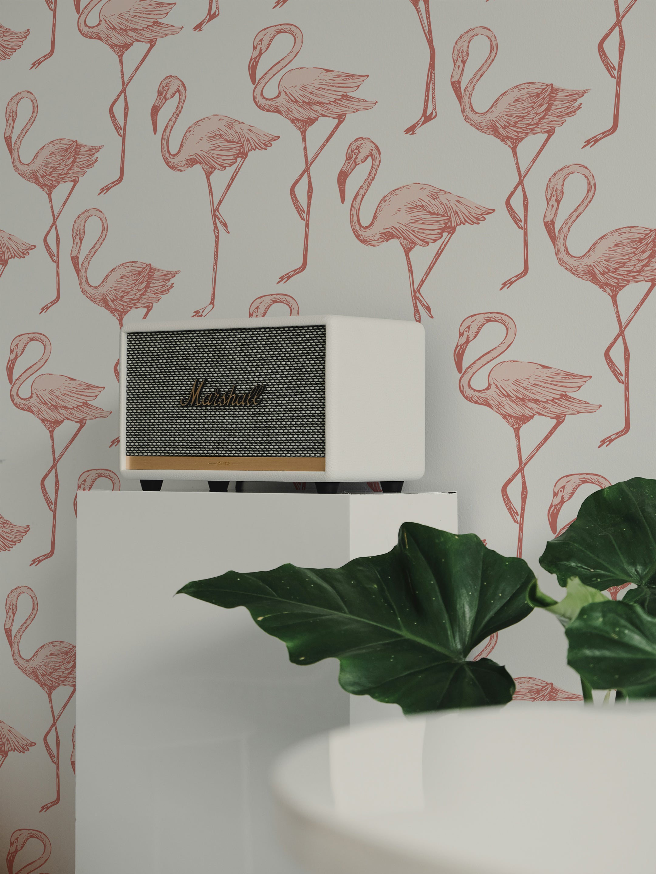 A stylish white speaker from Marshall is placed atop a small white cabinet against a backdrop of the Flamingo Party Wallpaper, which features a playful pattern of pink flamingos on a white background. The scene is complemented by a large green leafy plant in the foreground, adding a touch of nature to the decor.