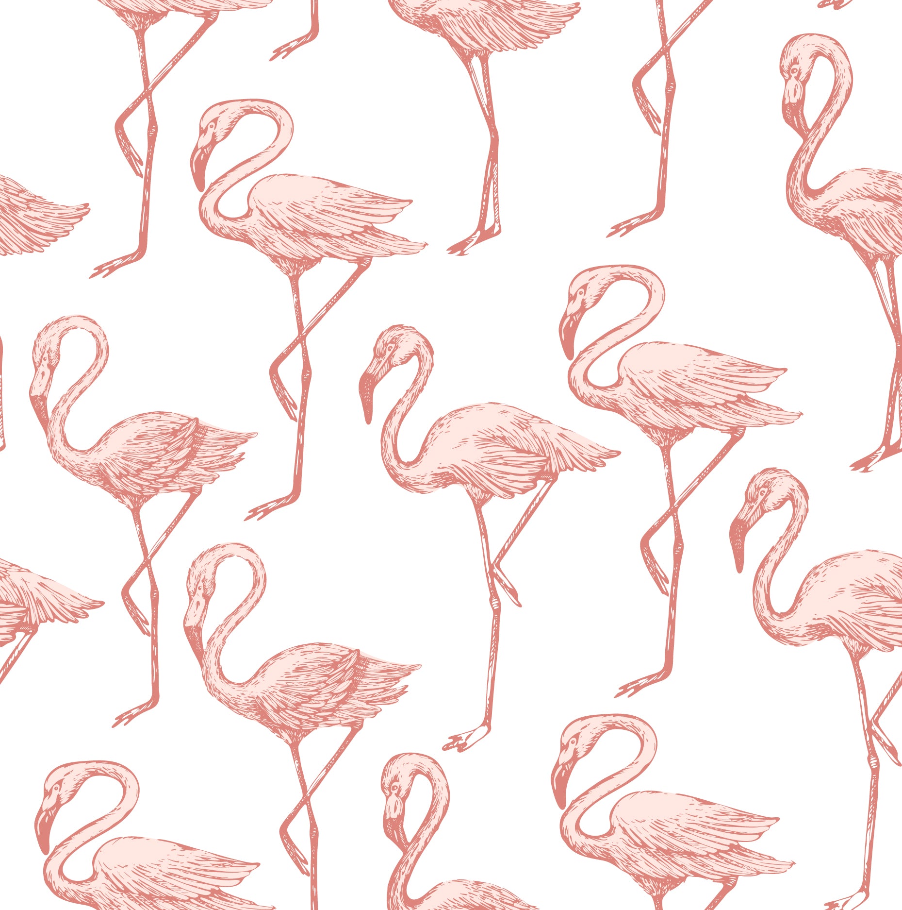 A detailed view of the Flamingo Party Wallpaper, showing the vibrant pattern of pink flamingos in various poses, artistically rendered with a sense of movement and grace against a crisp white background.