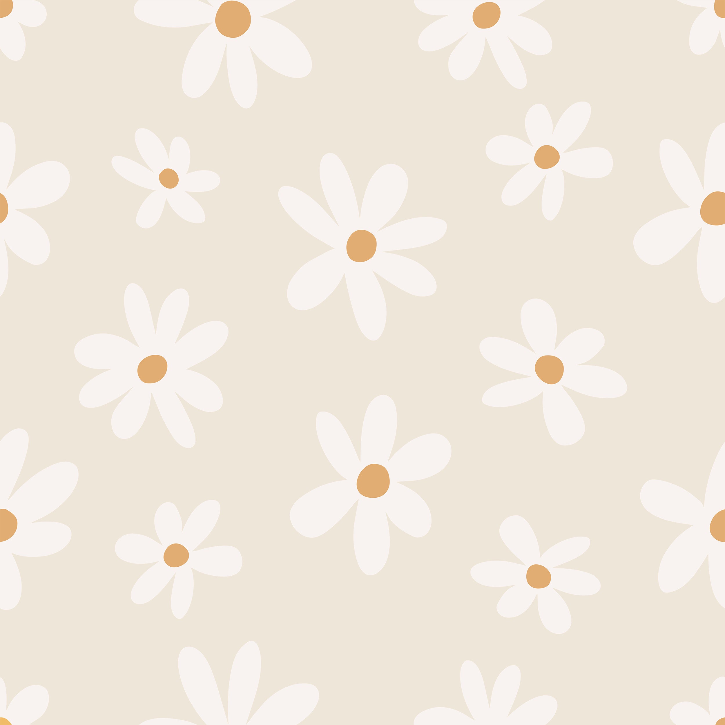 A close-up of the Simple Daisy Wallpaper, showcasing the charming daisy pattern with bright white petals and golden yellow centers, bringing a fresh and simplistic floral design to the space.