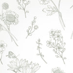 A close-up of the Timeless Toile Wallpaper, highlighting the intricate toile design with fine floral outlines that exude a charming, old-world aesthetic