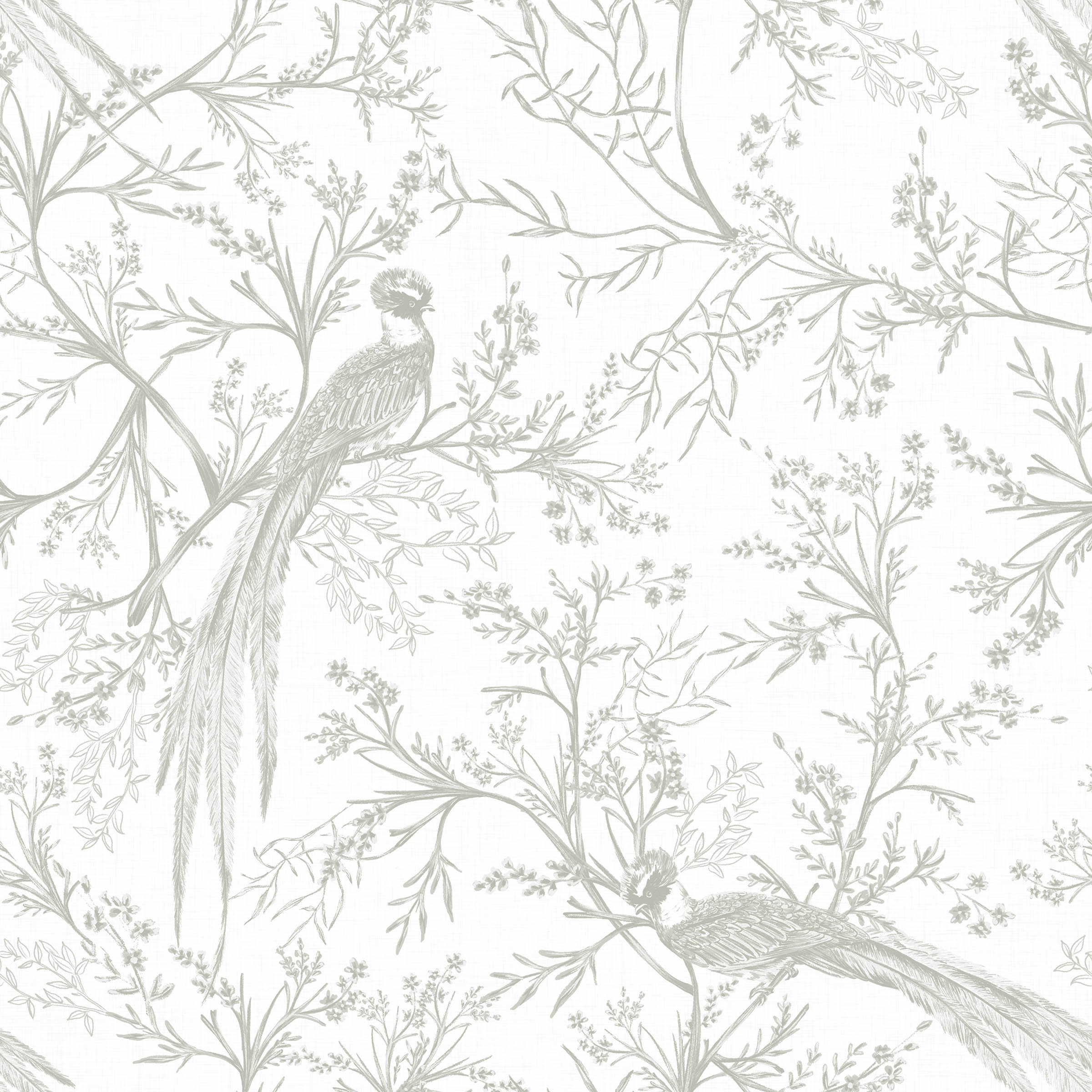 A close-up of the Oriental Garden Wallpaper highlighting its intricate botanical and bird design in soft gray on a white background. The detailed artwork showcases birds amidst delicate branches and foliage, evoking a serene and artistic atmosphere.