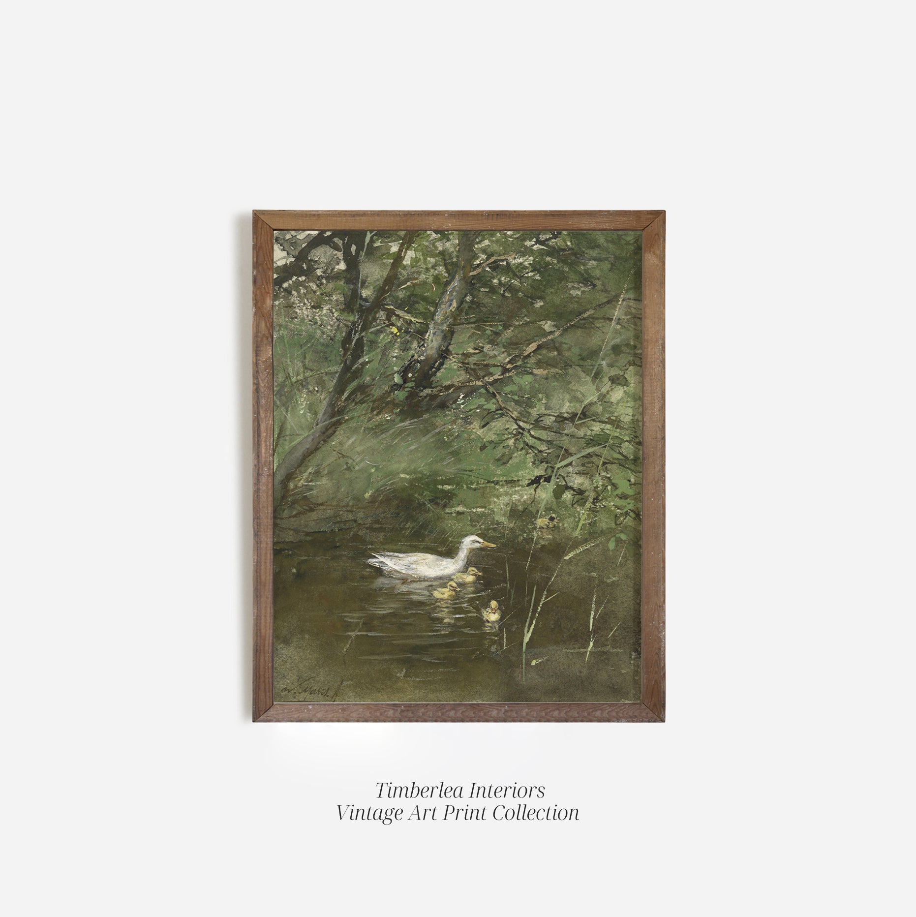 A vintage art print titled 'Ducks in Water,' elegantly framed in a rustic wood frame. The artwork depicts a peaceful scene of a duck leading her ducklings through a calm pond, set against a backdrop of dense green foliage and tree branches.