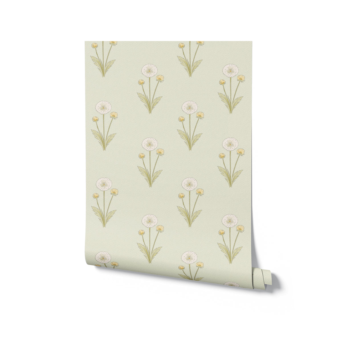 Roll of floral wallpaper with white flowers on a light green background