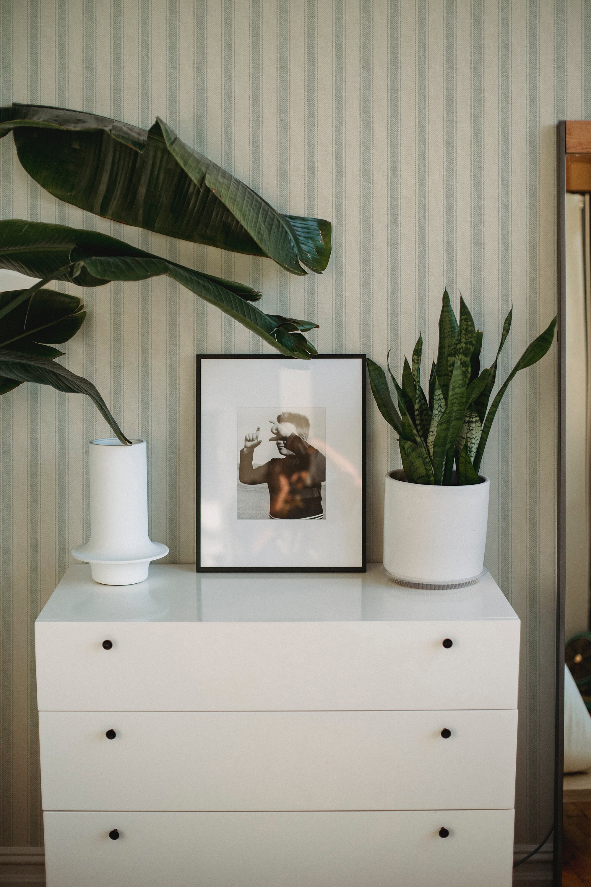  A serene bedroom setup featuring a white dresser topped with a framed black and white photo of a playful moment at the beach. A large green plant in a white pot sits beside the frame, enhancing the natural ambiance. The room is characterized by soft, striped green wallpaper, adding a subtle texture to the calm, well-organized space.