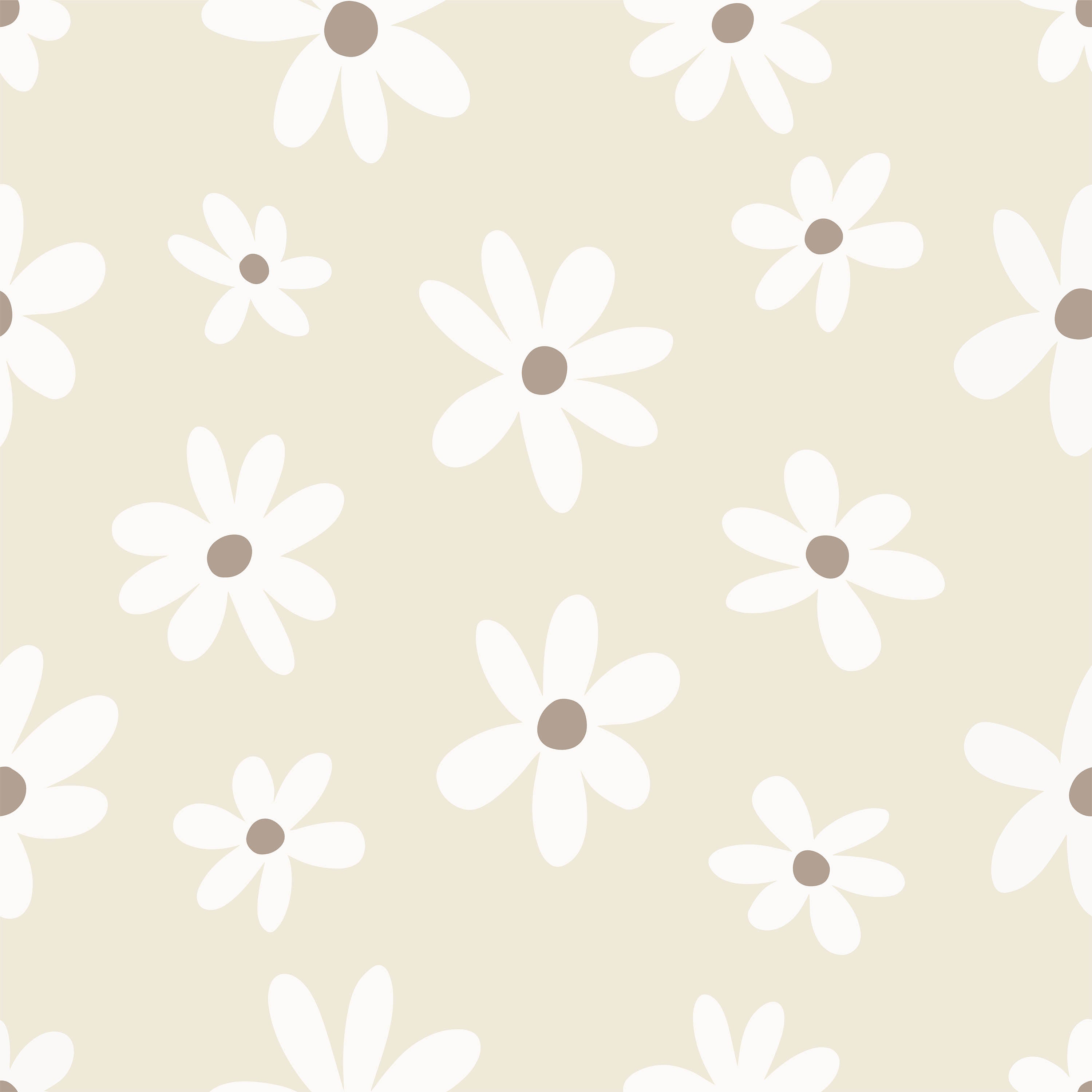 A close-up view of the Simple Daisy Wallpaper in beige, featuring a charming pattern of white daisies with brown centers on a soft beige background. The simple yet elegant design adds a fresh and cheerful touch to any space.