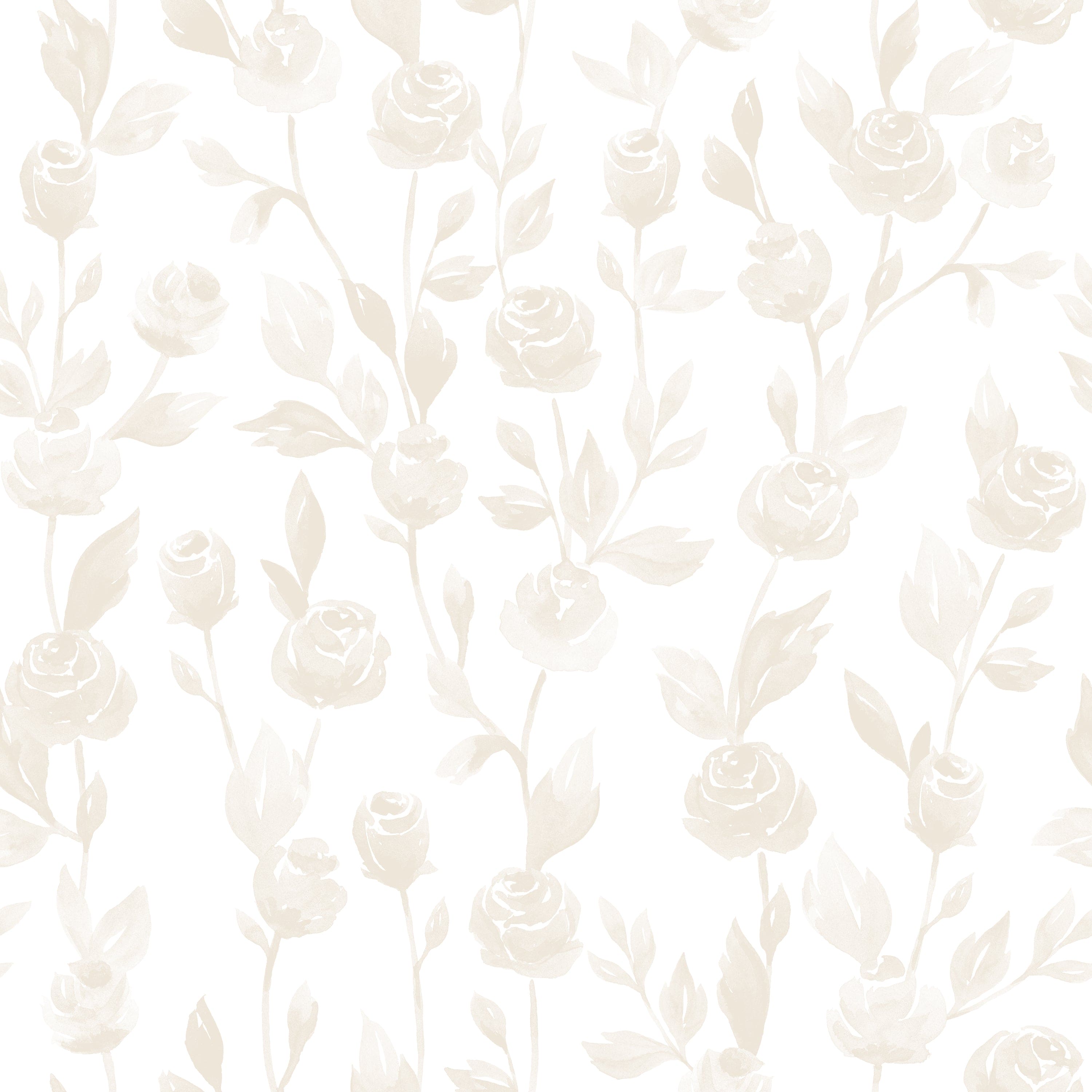 Cream Roses Watercolour Background Cream Watercolour Rose Wallpaper – Timberlea Interiors