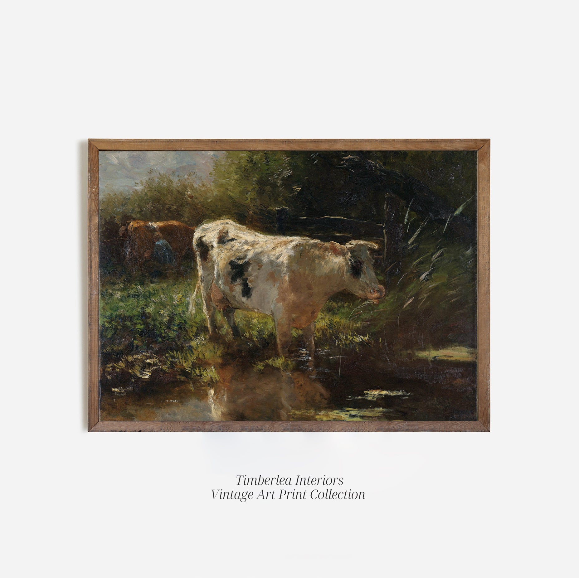 A vintage art print titled 'Spotted Cow,' featuring a black-and-white cow standing near a pond, framed in dark wood. The lush greenery and soft lighting add to the tranquil, pastoral feel of the artwork. The frame enhances the rustic charm of the piece.
