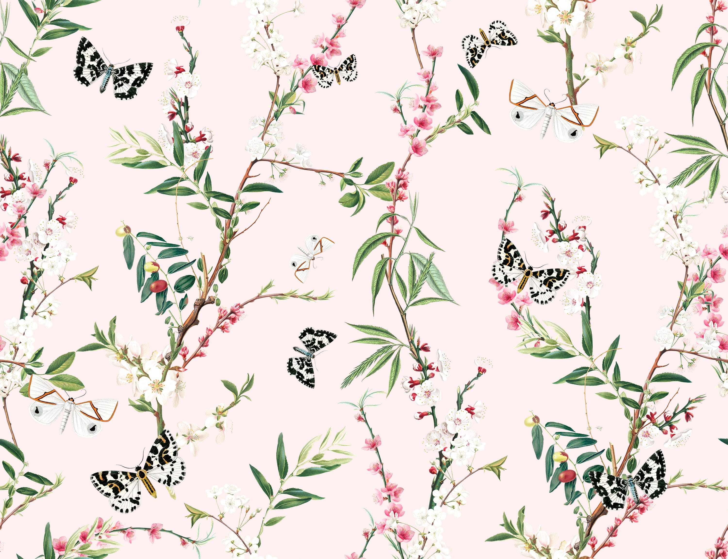 A detailed view of the Enchanting Butterflies Wallpaper, showcasing its intricate design of butterflies and blooming branches on a soft pink background. The delicate pattern features black and white butterflies and vibrant green leaves, creating a whimsical and serene ambiance.