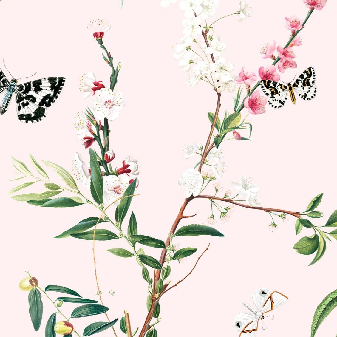 A detailed view of the Enchanting Butterflies Wallpaper, showcasing its intricate design of butterflies and blooming branches on a soft pink background. The delicate pattern features black and white butterflies and vibrant green leaves, creating a whimsical and serene ambiance.