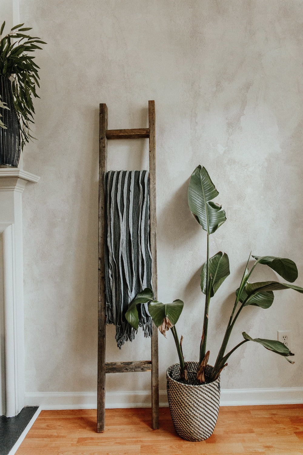 A relaxed interior setting featuring the Neutral Limewash Wallpaper, complementing the rustic wooden ladder and green leafy plant in a woven basket, creating a harmonious blend of natural textures and tones.