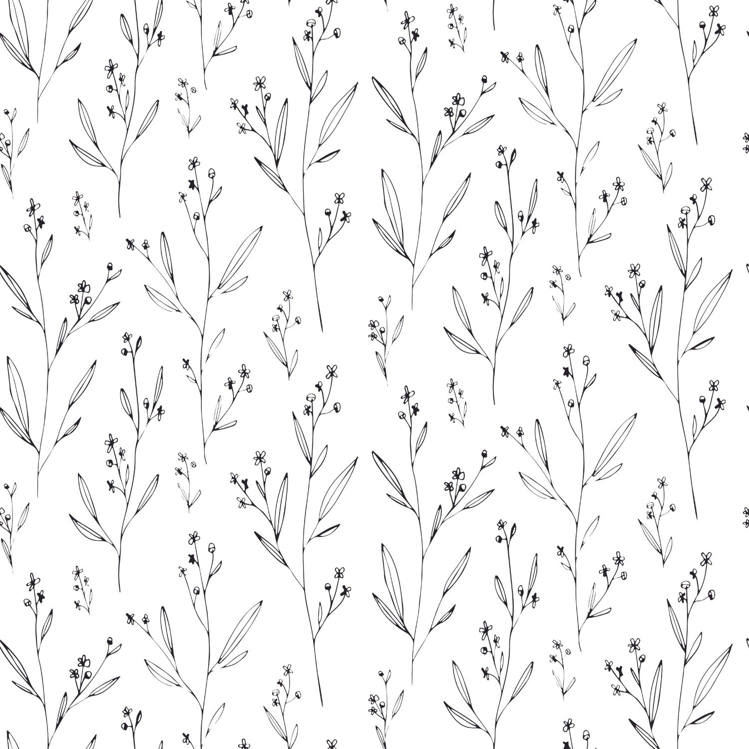 Dainty Black Floral Wallpaper with a seamless pattern of delicate black floral illustrations on a white background.