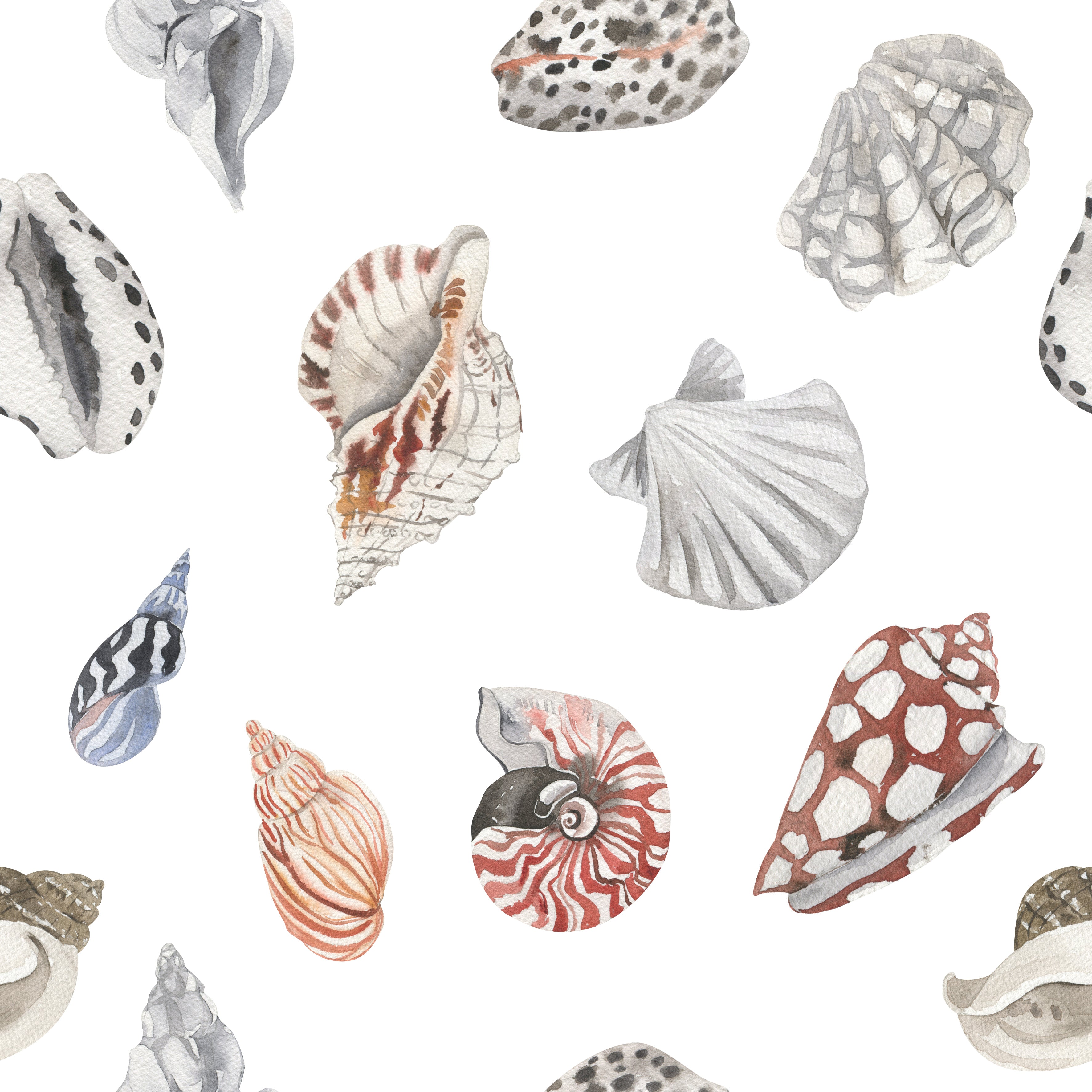 Close-up of watercolor seashell wallpaper showing detailed shell illustrations