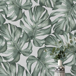 A vibrant section of Modern Monstera Wallpaper showcasing a lush pattern of watercolor monstera leaves in varying shades of green, creating a fresh and invigorating tropical atmosphere