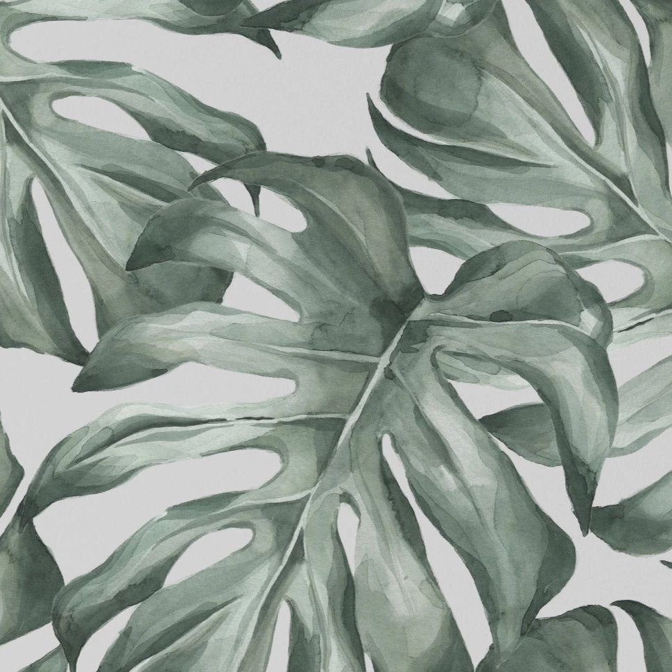 A vibrant section of Modern Monstera Wallpaper showcasing a lush pattern of watercolor monstera leaves in varying shades of green, creating a fresh and invigorating tropical atmosphere