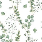 A seamless wallpaper pattern featuring delicate watercolor-style eucalyptus branches with pale green leaves, arranged in a flowing, organic layout. The background is white, emphasizing the freshness and simplicity of the botanical theme.