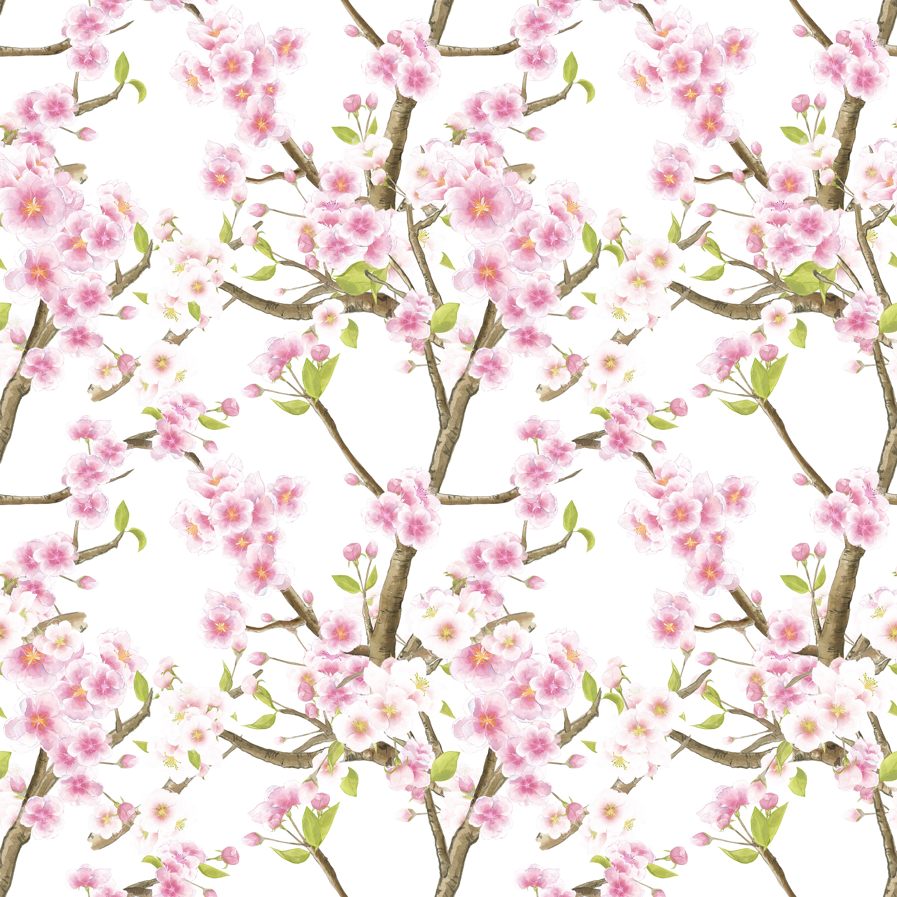 Close-up view of Sakura Blossom Wallpaper featuring intricate branches of sakura blossoms with pink flowers and soft green leaves, set against a crisp white background, capturing the delicate beauty of cherry blossoms