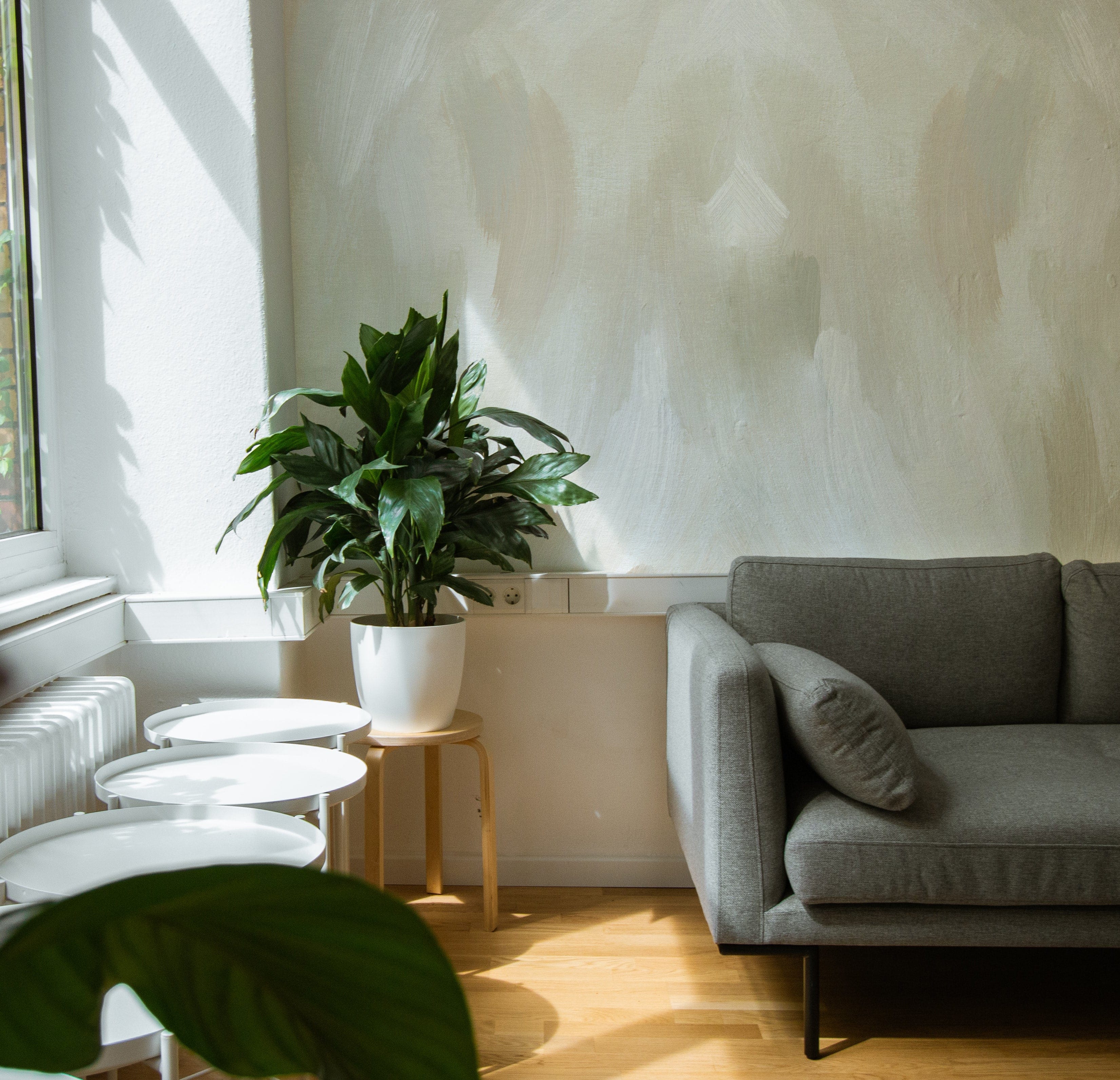 Earthy Aura Paint Texture Mural Wallpaper in a modern living room with natural light, a gray sofa, a potted plant on a wooden stool, and minimalist white side tables.