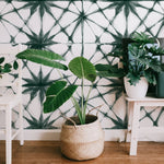 A room with a wall decorated in Shibori Star watercolor wallpaper, showing a repeating pattern of green stars connected by delicate lines. A woven basket planter with a large green leafy plant sits in the foreground, accompanied by a white table with smaller potted plants.