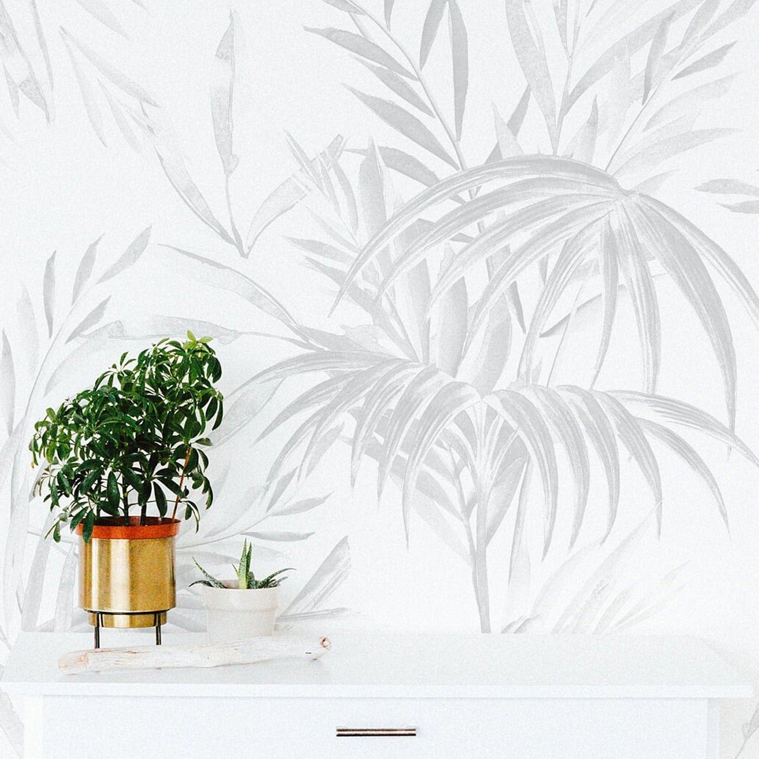 A stylish corner of a home displays the Palm Springs Wallpaper as a backdrop to a modern white cabinet adorned with indoor plants. The wallpaper's soft grey palm leaves add a natural and airy feel to the space.