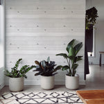A stylish interior featuring the Realistic Wooden Wallpaper applied to a wall, accompanied by modern decor elements such as large potted plants, enhancing the fresh and contemporary look of the room.