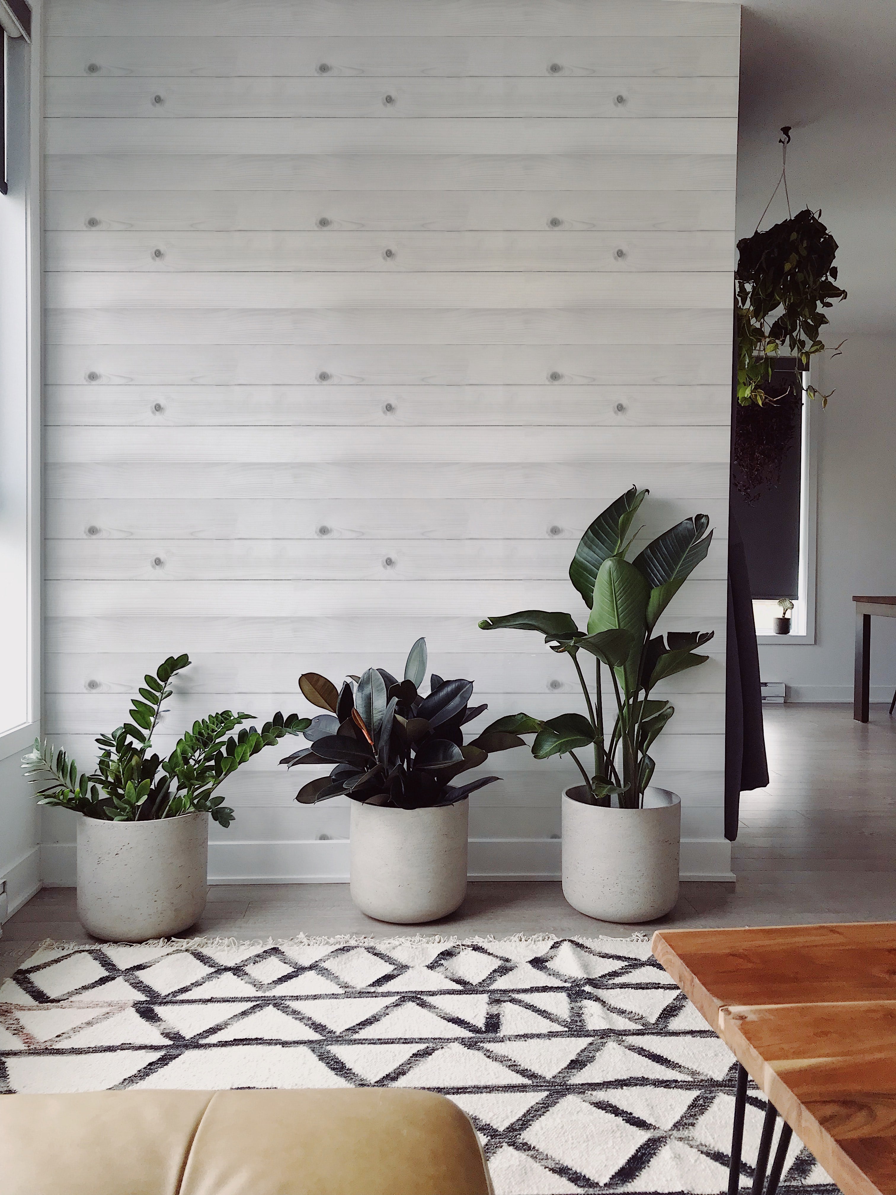 A stylish interior featuring the Realistic Wooden Wallpaper applied to a wall, accompanied by modern decor elements such as large potted plants, enhancing the fresh and contemporary look of the room.