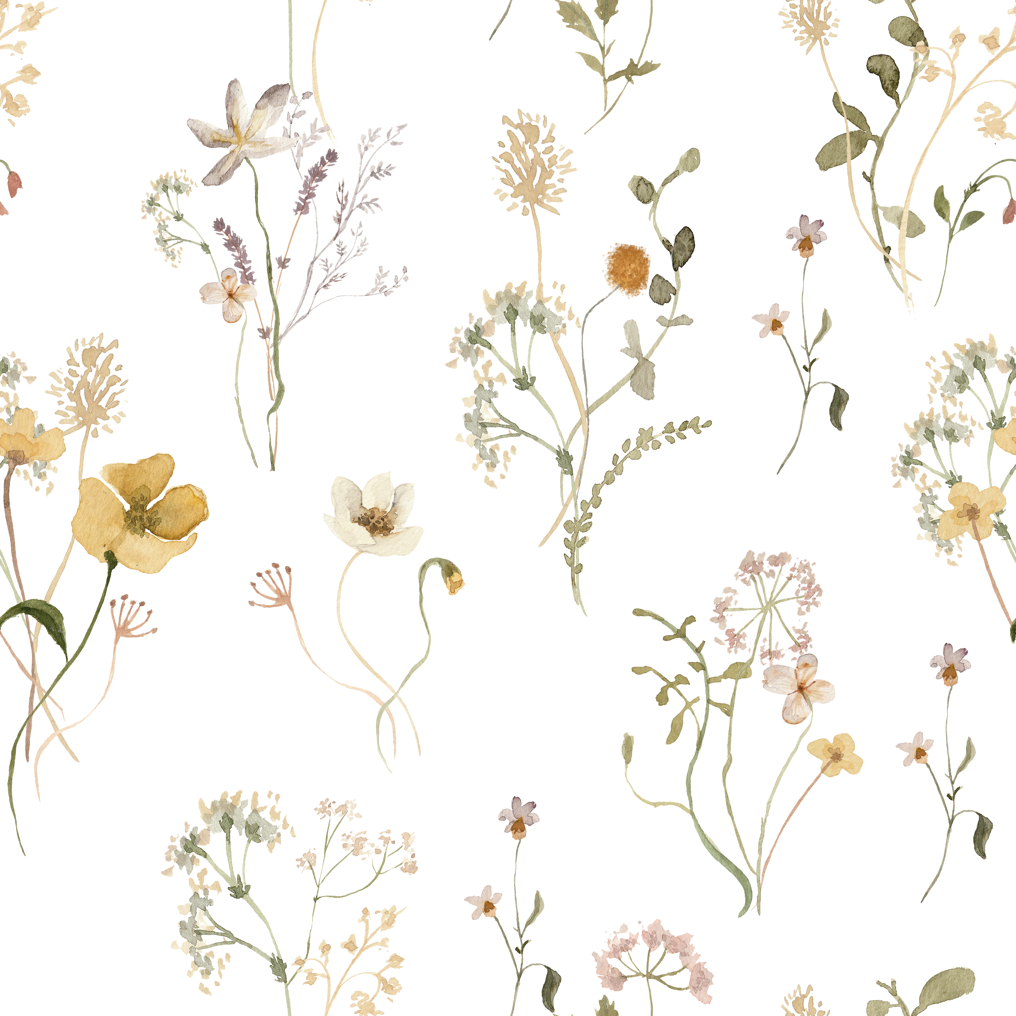 The Delicate Floral Wallpaper set against a black background, highlighting the detailed botanical illustrations with a striking and elegant contrast.